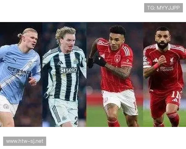 维尔茨对战术体系的适配性与依赖度解析