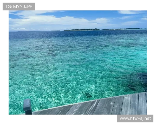 大阪刚在马尔代夫买岛，训练计划是每天醒来看海发呆？