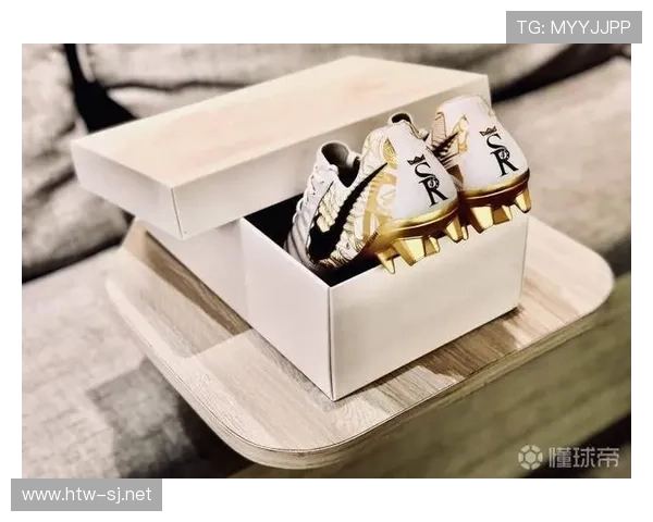 拉莫斯机场随手丢的鞋盒，价钱够我外卖订到年底