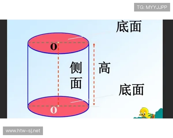 篮球规则中的圆柱体原则解析：界定合法防守空间